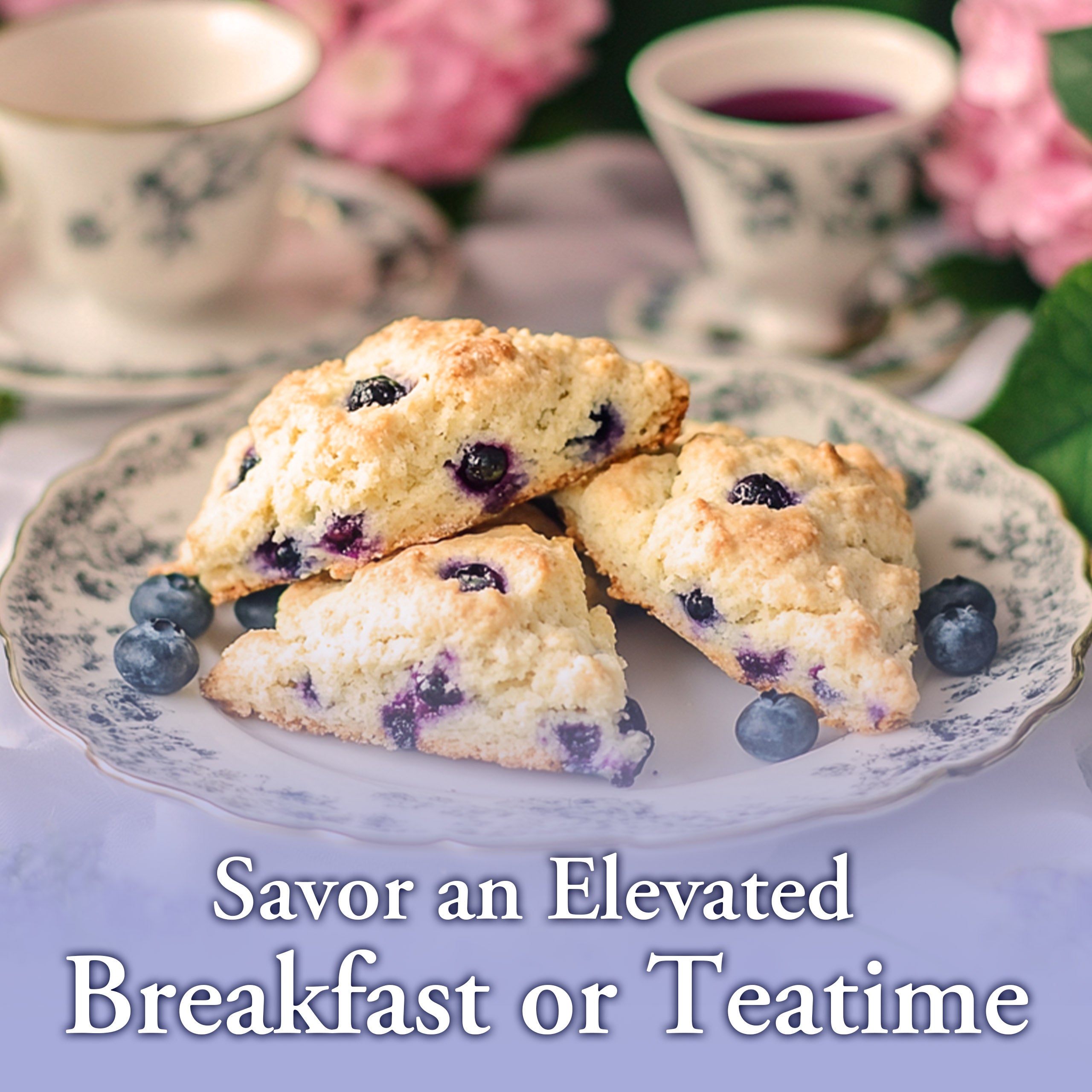 Ann Clark Traditional Lemon Blueberry Scone Mix